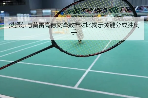 樊振东与莫雷高德交锋数据对比揭示关键分成胜负手