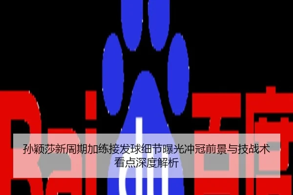 孙颖莎新周期加练接发球细节曝光冲冠前景与技战术看点深度解析